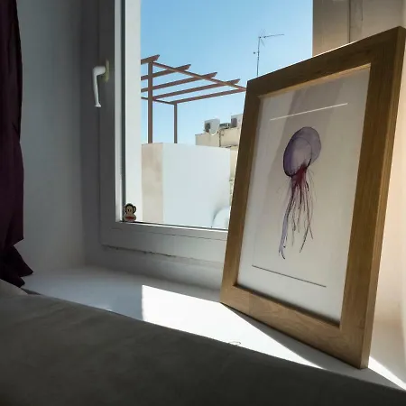 Veedor Cádiz
